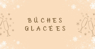 Bûches glacées