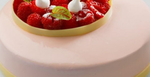 Les entremets 6 personnes