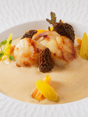 La Saint-Jacques dans tous ses états, aux morilles et vin jaune