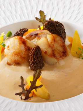 La Saint-Jacques en deux textures, éclats de morilles et vin jaune