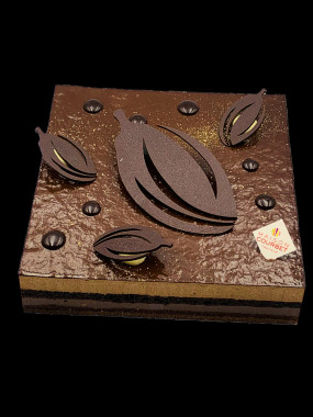 Equateur purement chocolat 6 personnes