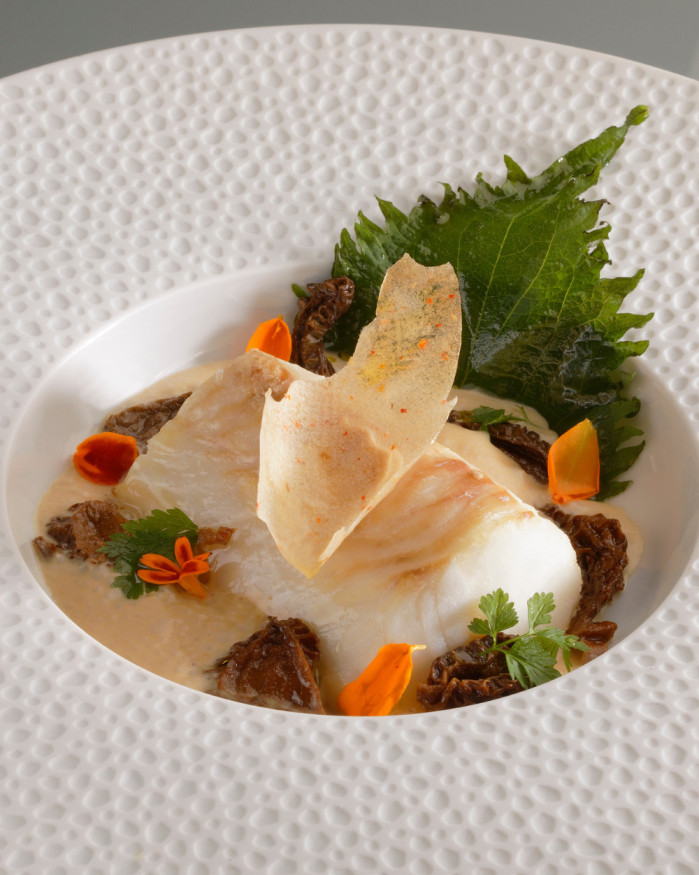 Dos de cabillaud fondant en deux cuissons, velouté de vin jaune et morilles sauvages contisées