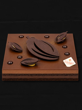 Equateur purement chocolat 6 personnes